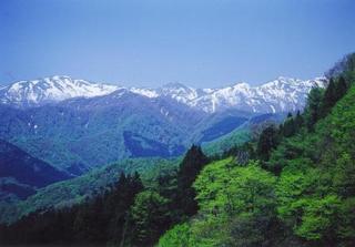 白神山麓J−VER事業.jpg